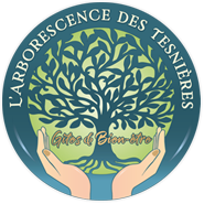 L'Arborescence des Tesnières