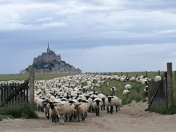 Le Mont Saint michel